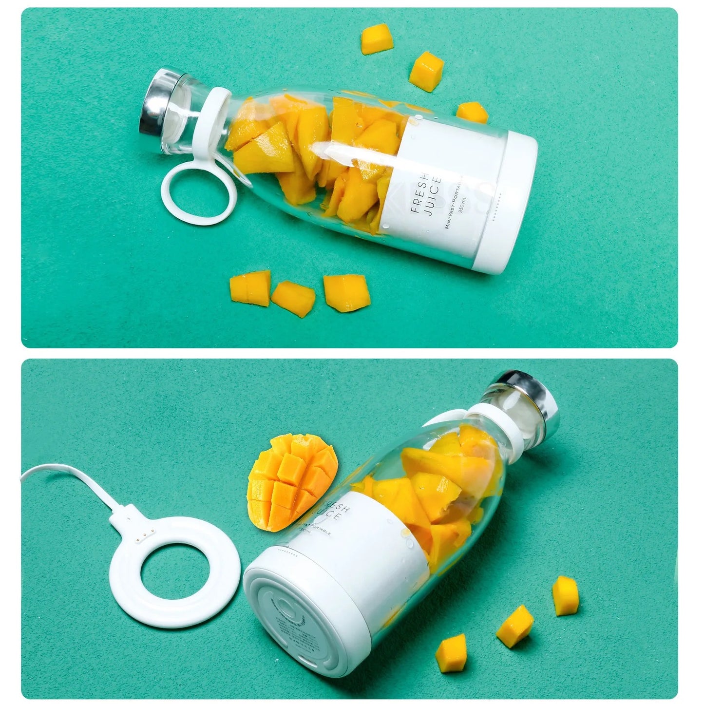 Portable Blender / Juicer