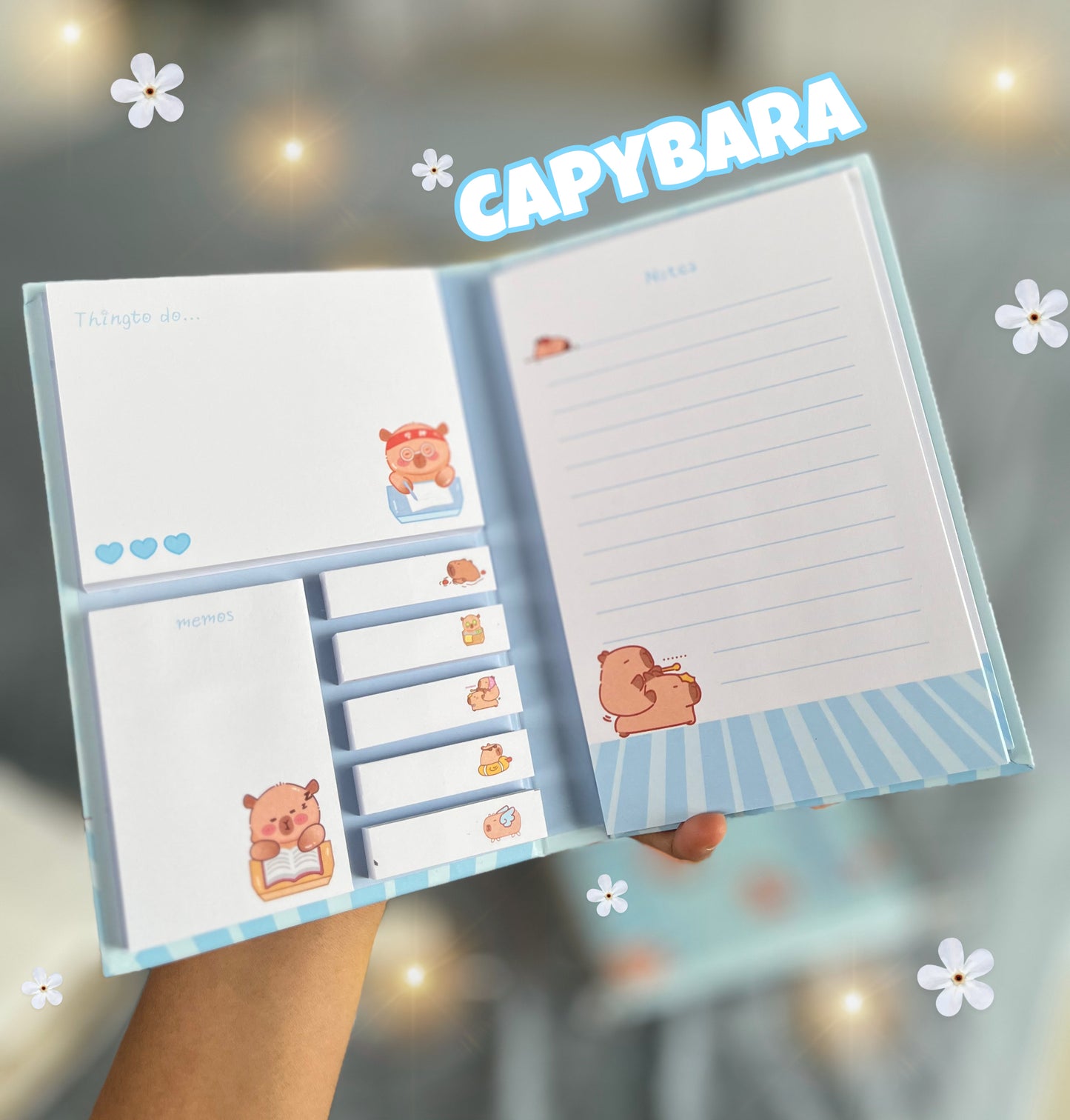 Sticky Notes Sets