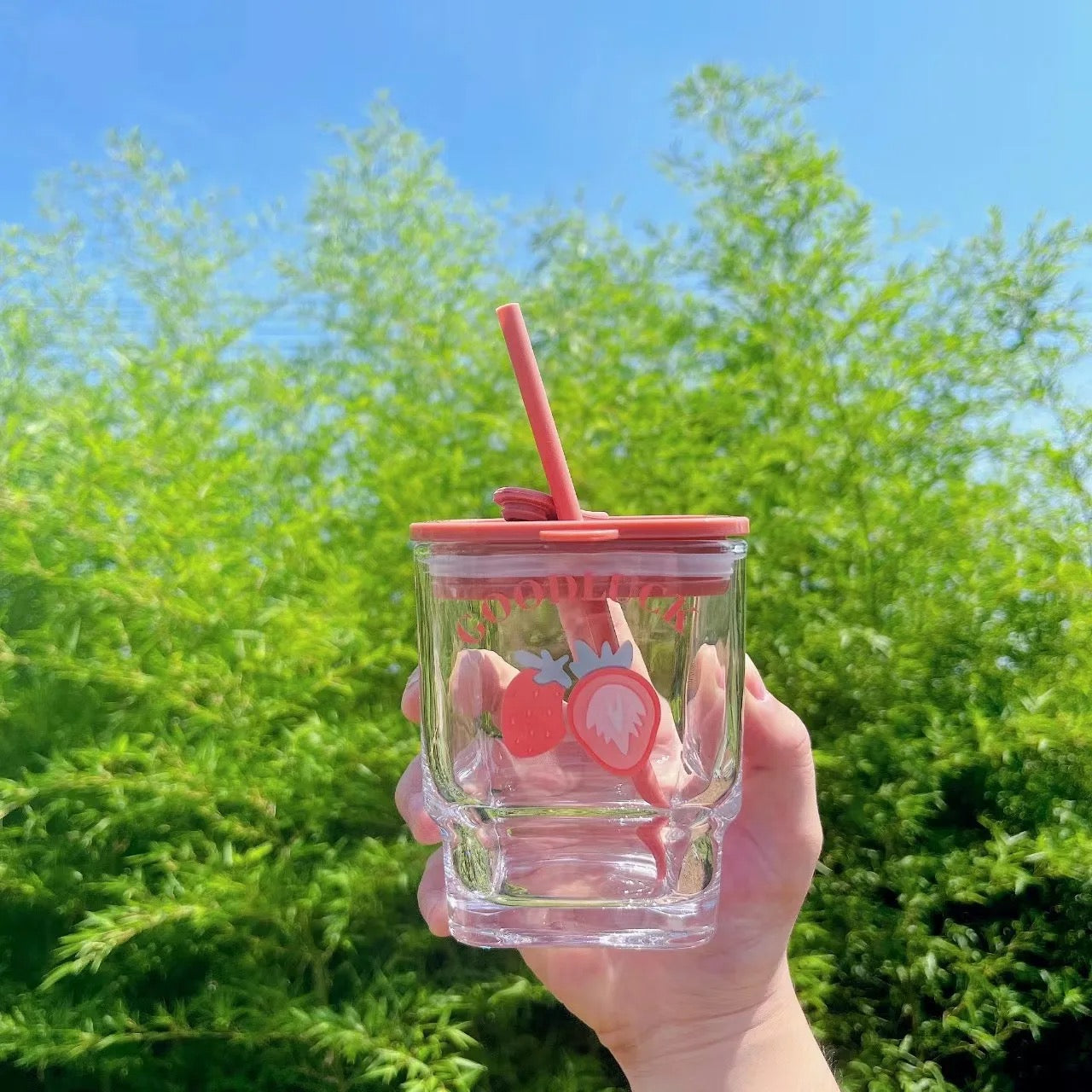Fruit Glass Tumblers