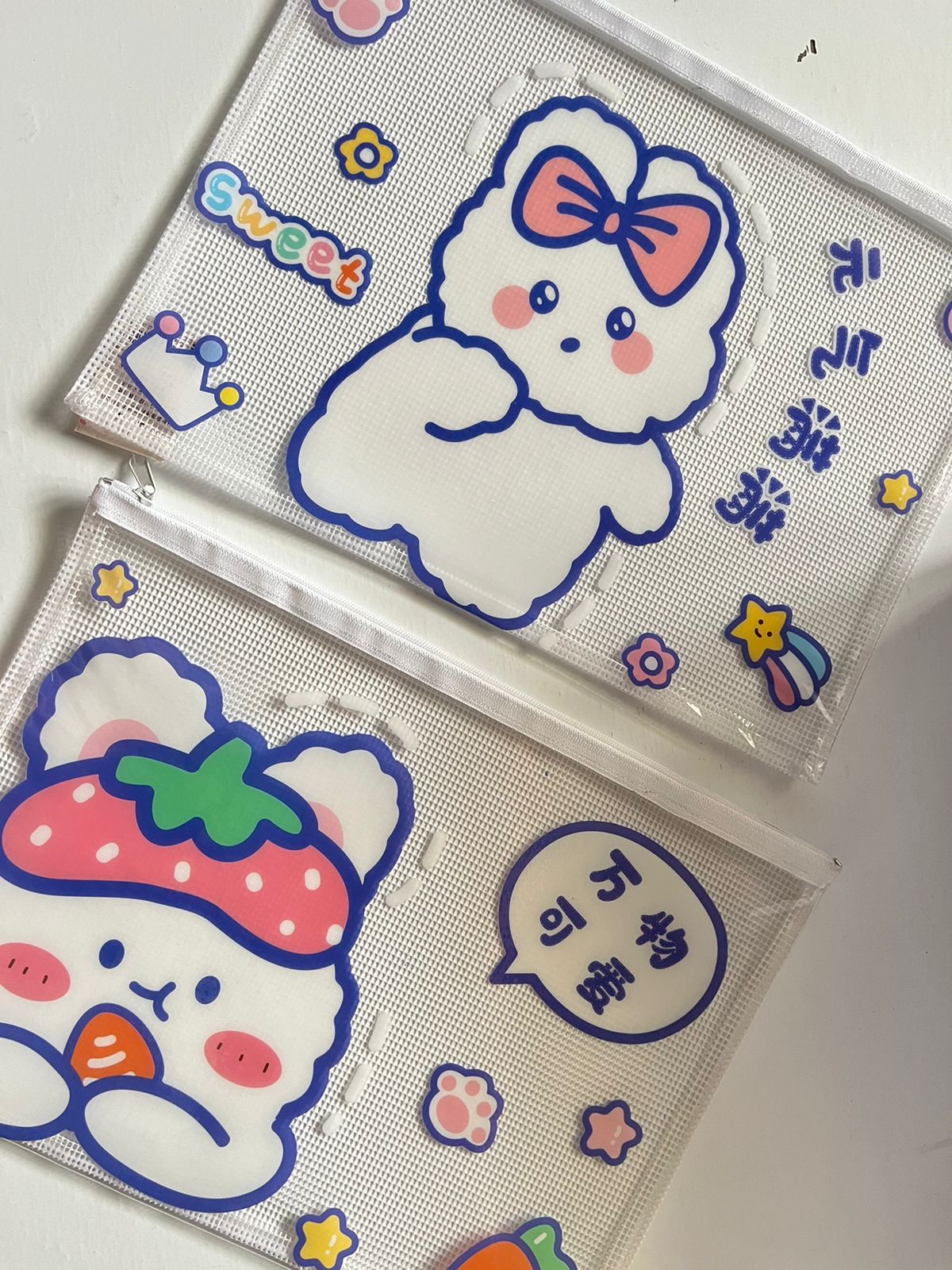 Kawaii Transparent Folders -