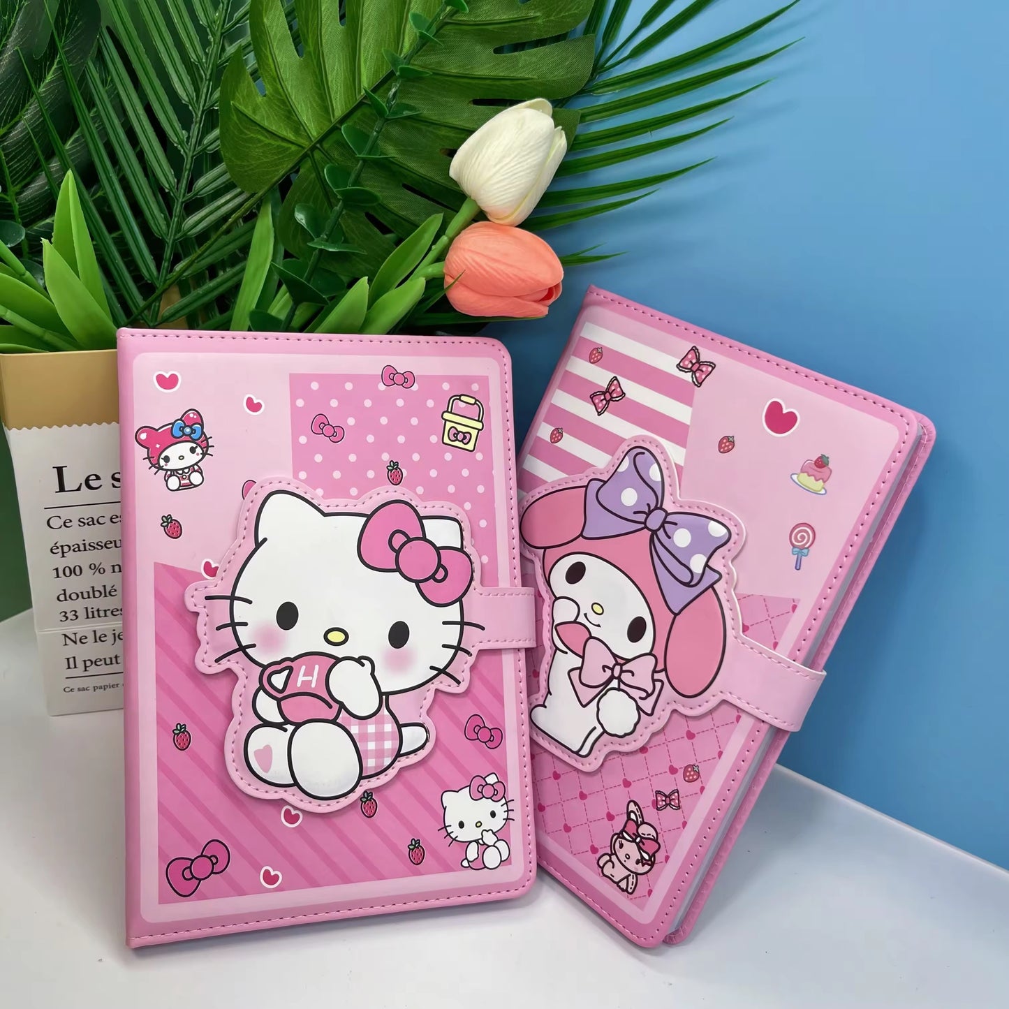Sanrio Magnetic Flap Diaries